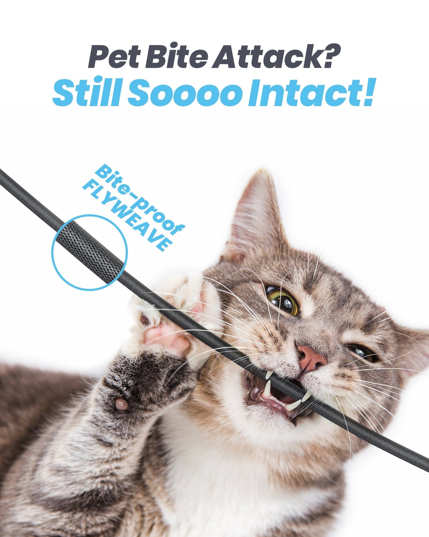 INIU D3C-5P Cable, Bite-proof FLYWEAVE braided cable withstands cat bites, durable and long-lasting.